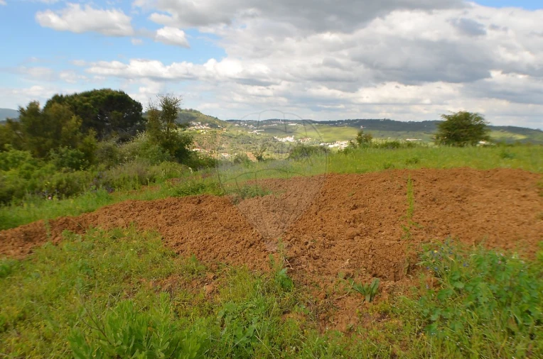 Terreno para Venda em Meca Foto 8
