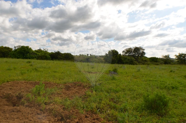 Terreno para Venda em Meca Foto 10