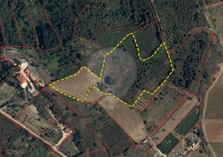 Terreno para Venda em Meca Foto 11