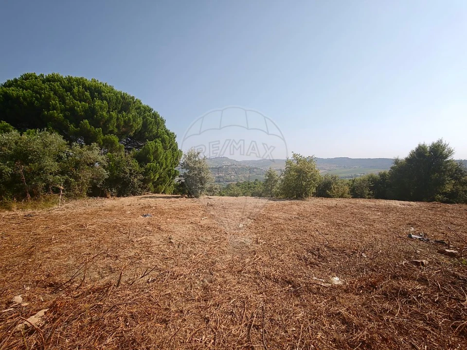 Terreno para Venda em Meca Foto 4