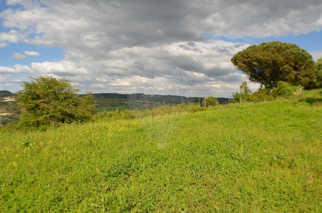 Terreno para Venda em Meca Foto 3