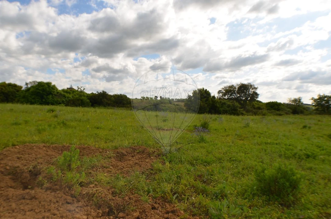 Terreno para Venda em Meca Foto 10
