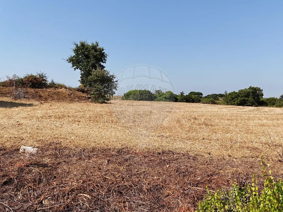 Terreno para Venda em Meca Foto 3
