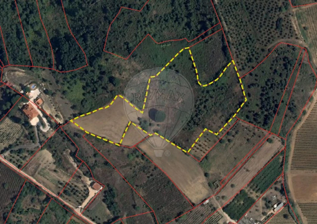 Terreno para Venda em Meca Foto 11