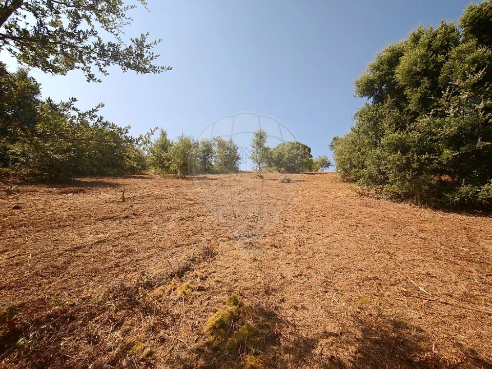 Terreno para Venda em Meca Foto 16