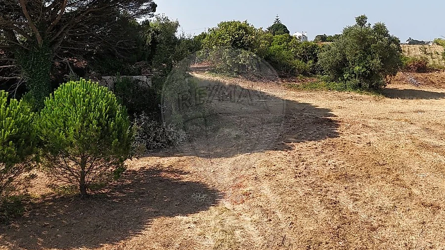 Terreno para Venda em Meca