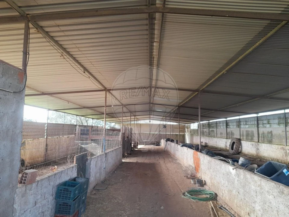 Quinta T4 para Venda em Albernoa e Trindade Foto 42