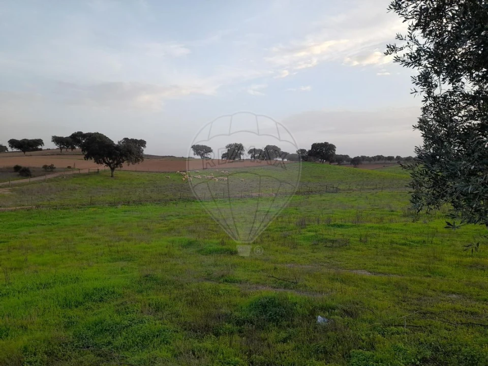 Quinta T4 para Venda em Albernoa e Trindade Foto 27