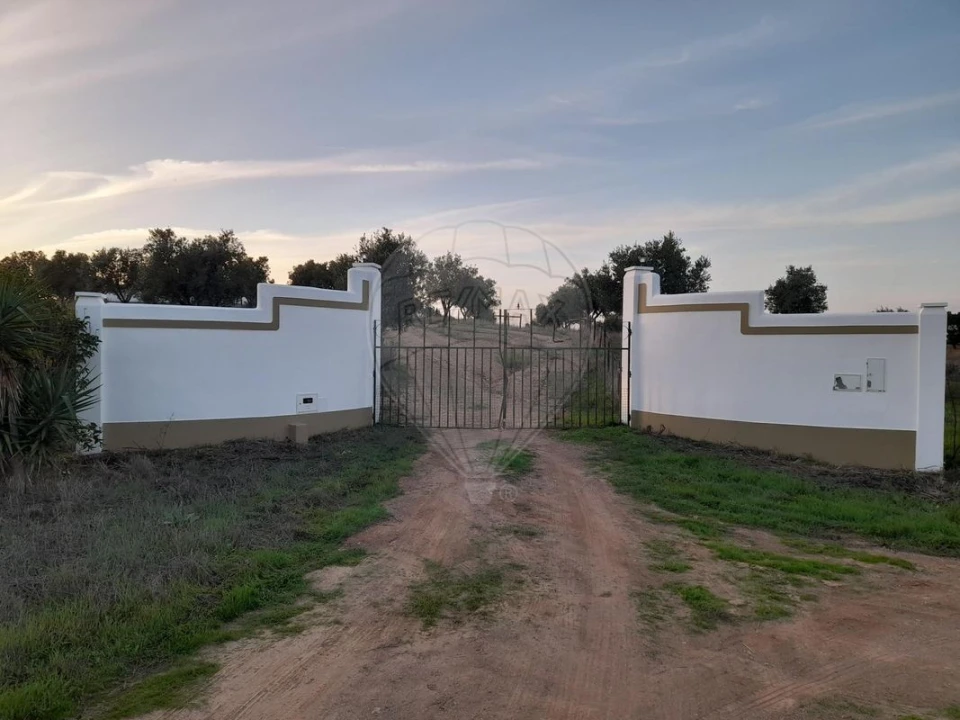 Quinta T4 para Venda em Albernoa e Trindade Foto 30