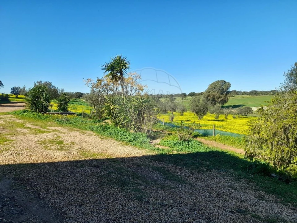 Quinta T4 para Venda em Albernoa e Trindade Foto 28