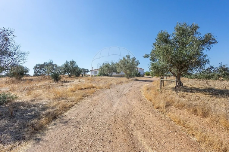 Quinta T0 para Venda em Albernoa e Trindade Foto 46