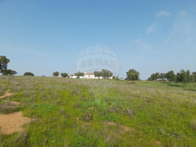 Quinta T0 para Venda em Albernoa e Trindade Foto 25