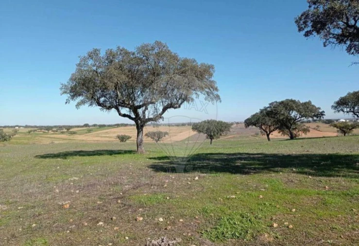 Quinta T0 para Venda em Albernoa e Trindade Foto 29