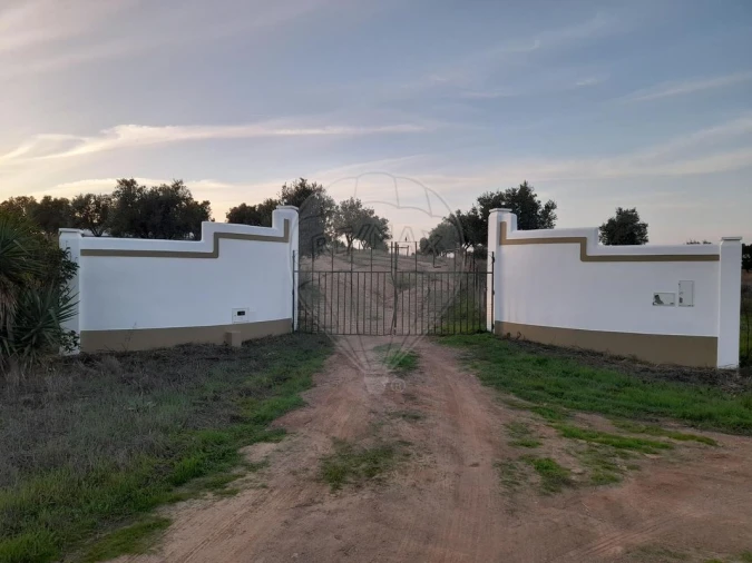 Quinta T0 para Venda em Albernoa e Trindade Foto 30