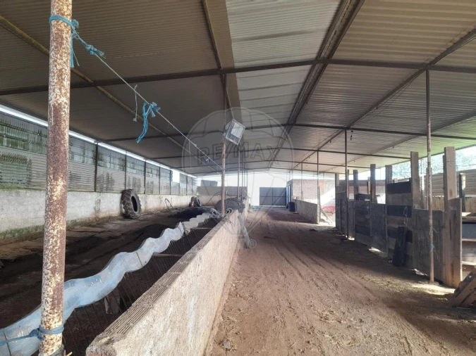 Quinta T0 para Venda em Albernoa e Trindade Foto 41