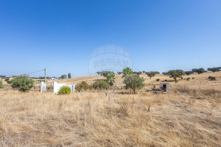 Quinta T0 para Venda em Albernoa e Trindade Foto 4