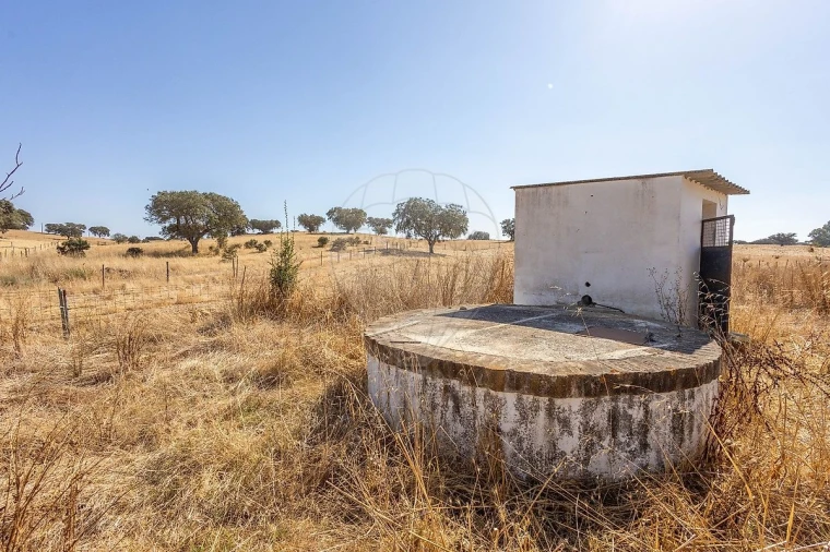 Quinta T0 para Venda em Albernoa e Trindade Foto 6
