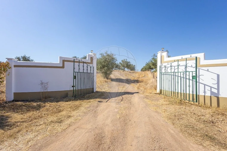 Quinta T0 para Venda em Albernoa e Trindade Foto 3
