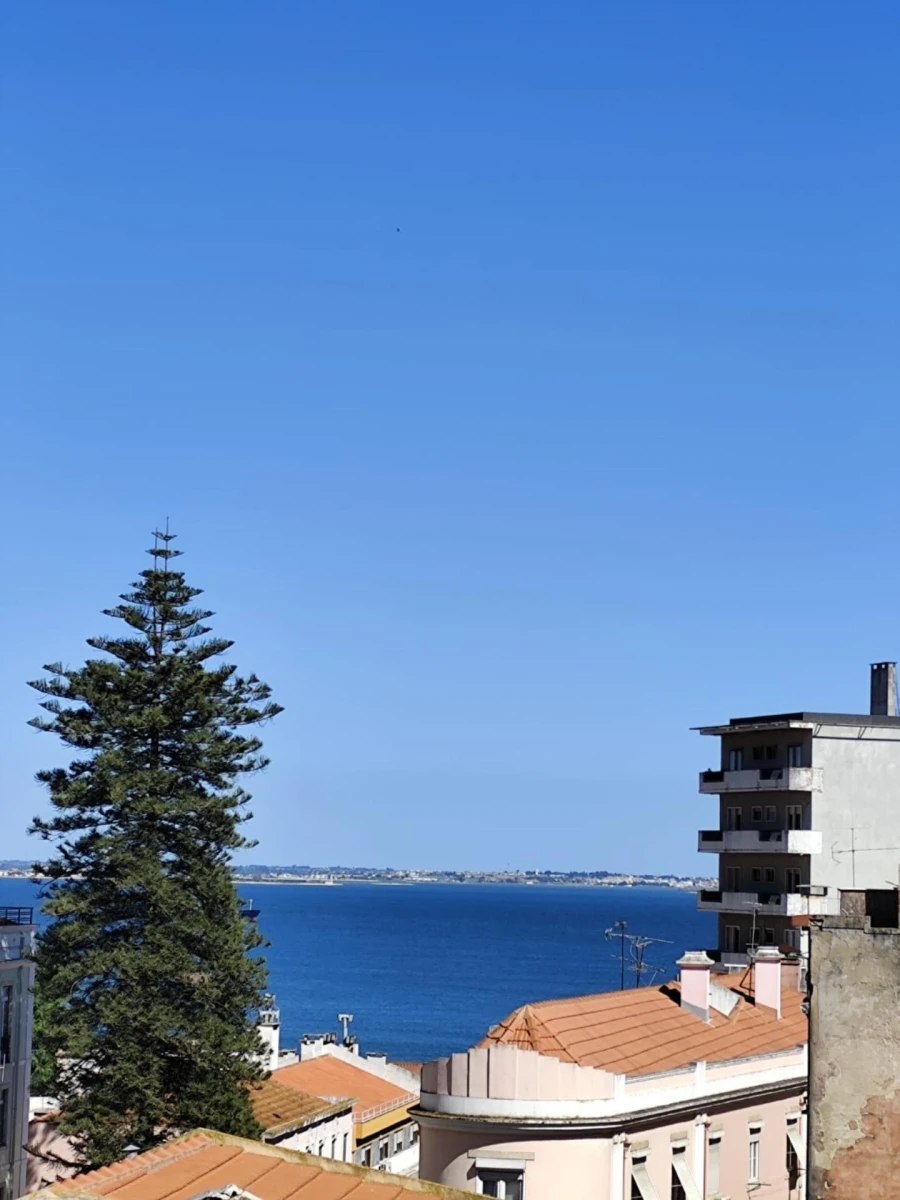 Apartamento T2 para Venda em São Vicente Foto 8