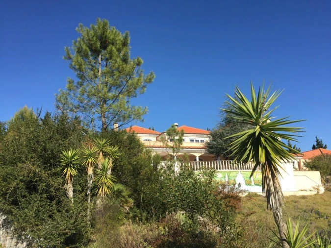 Moradia T7 para Venda em Queluz e Belas Foto 2