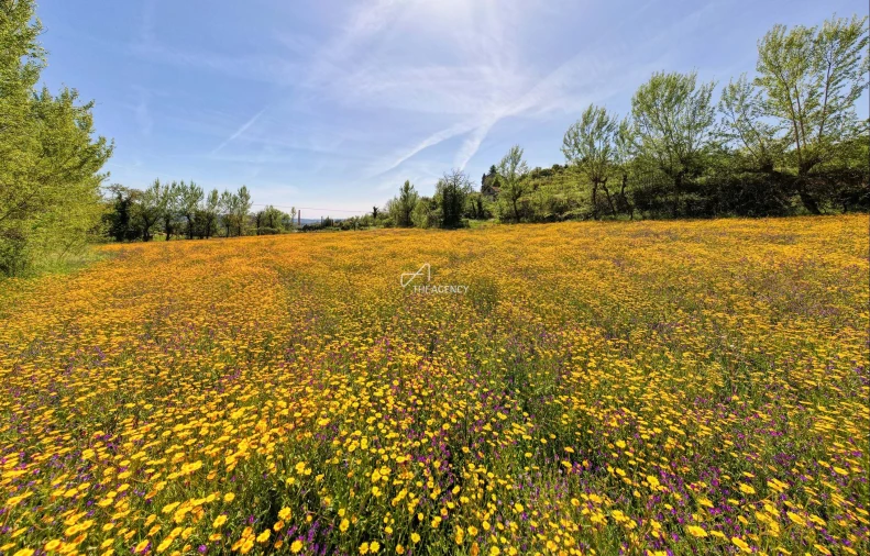 Quinta T4 para Venda em Telões Foto 16