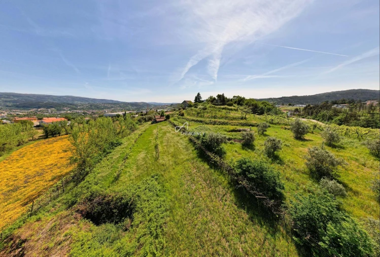 Quinta T4 para Venda em Telões Foto 6