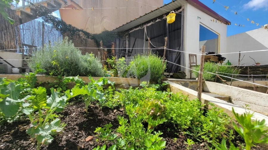 Moradia T5 para Venda em Proença-A-Nova e Peral Foto 32