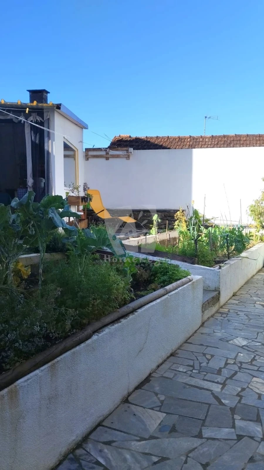 Moradia T5 para Venda em Proença-A-Nova e Peral Foto 18