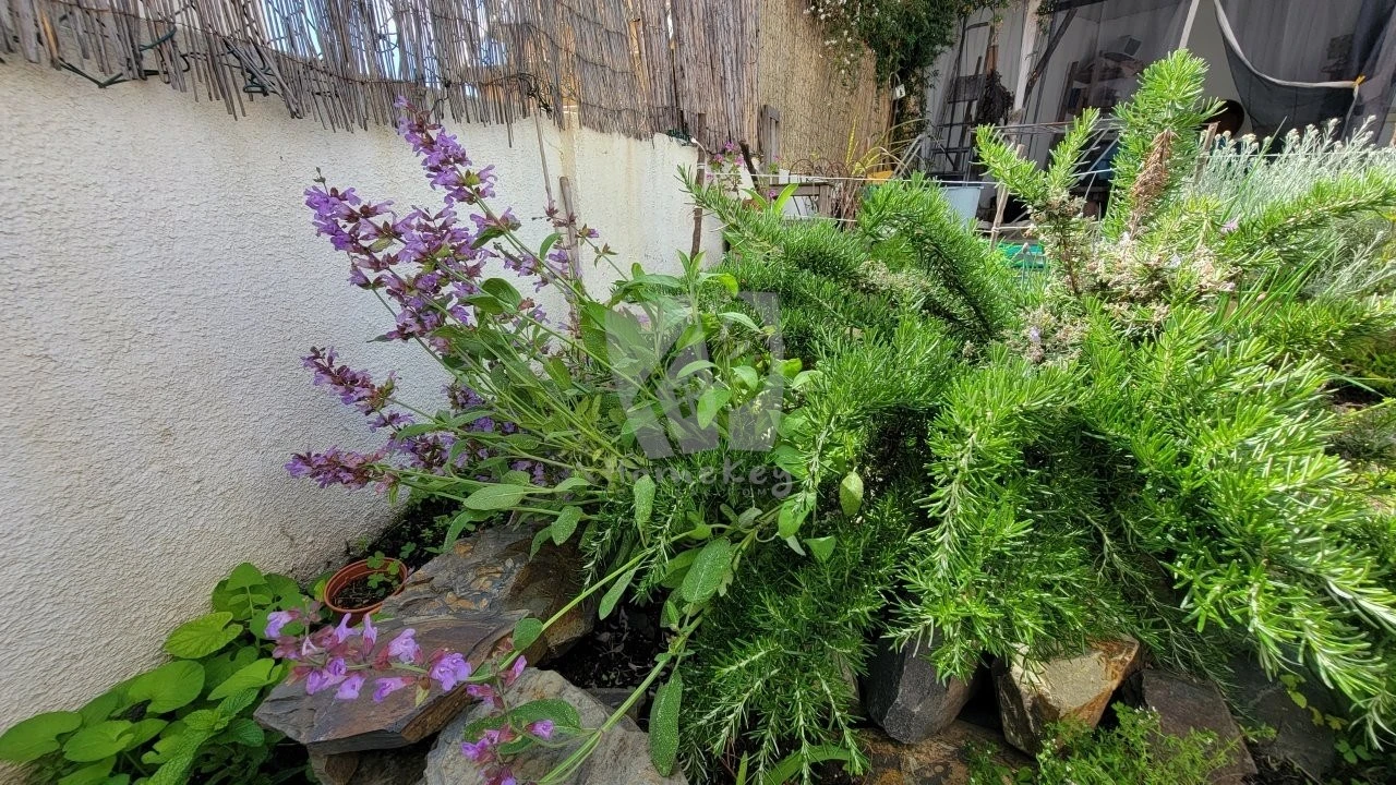 Moradia T5 para Venda em Proença-A-Nova e Peral Foto 29