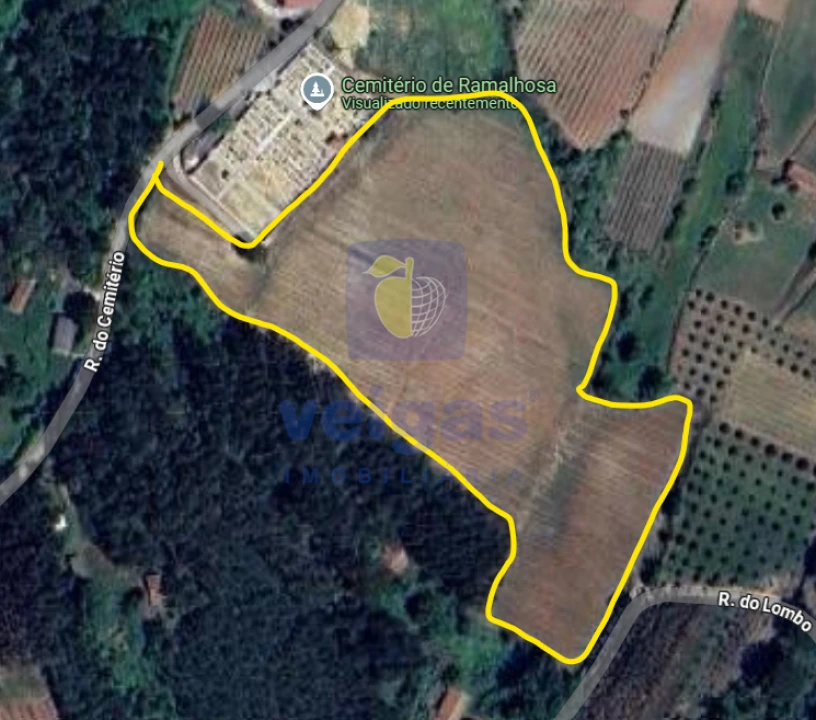 Terreno Agricola ou Rústico para Venda em Caldas da Rainha - Santo Onofre e Serra do Bouro Foto 2