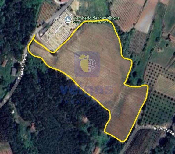 Terreno Agricola ou Rústico para Venda em Caldas da Rainha - Santo Onofre e Serra do Bouro Foto 2