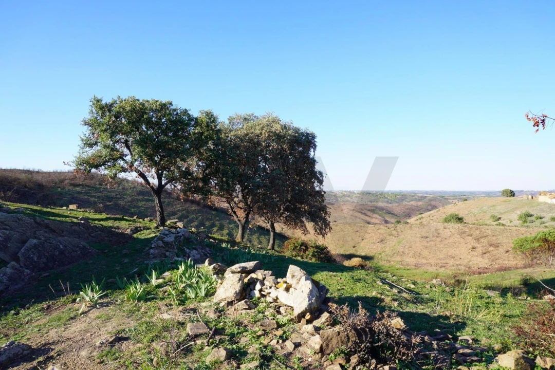 Moradia T3 para Venda em Vila Nova de Cacela Foto 6