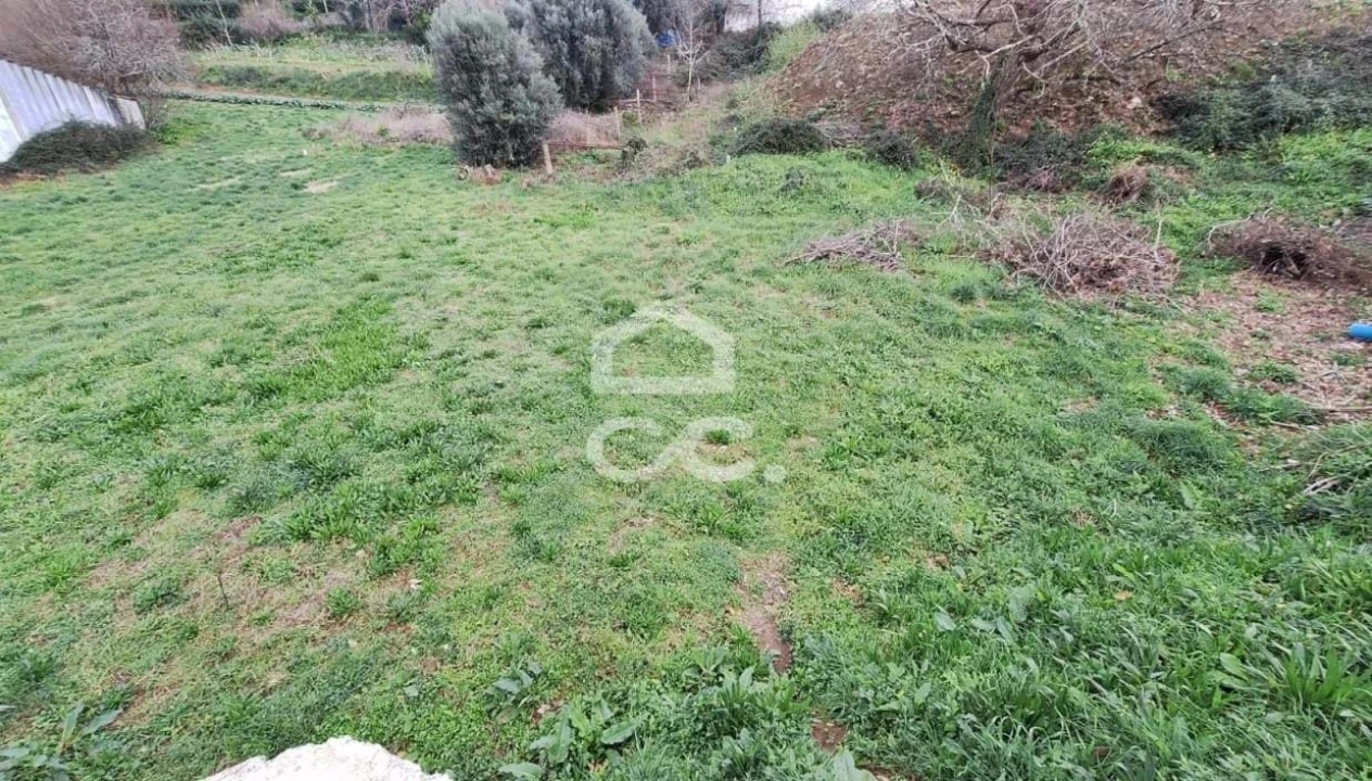 Terreno para Venda em Arca e Ponte de Lima Foto 4