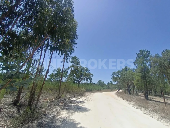 Terreno para Venda em Santana do Mato Foto 19