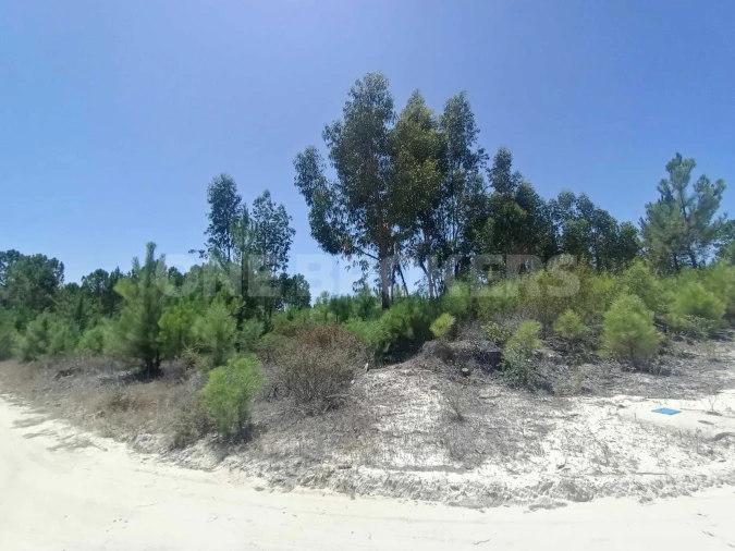 Terreno para Venda em Santana do Mato Foto 3