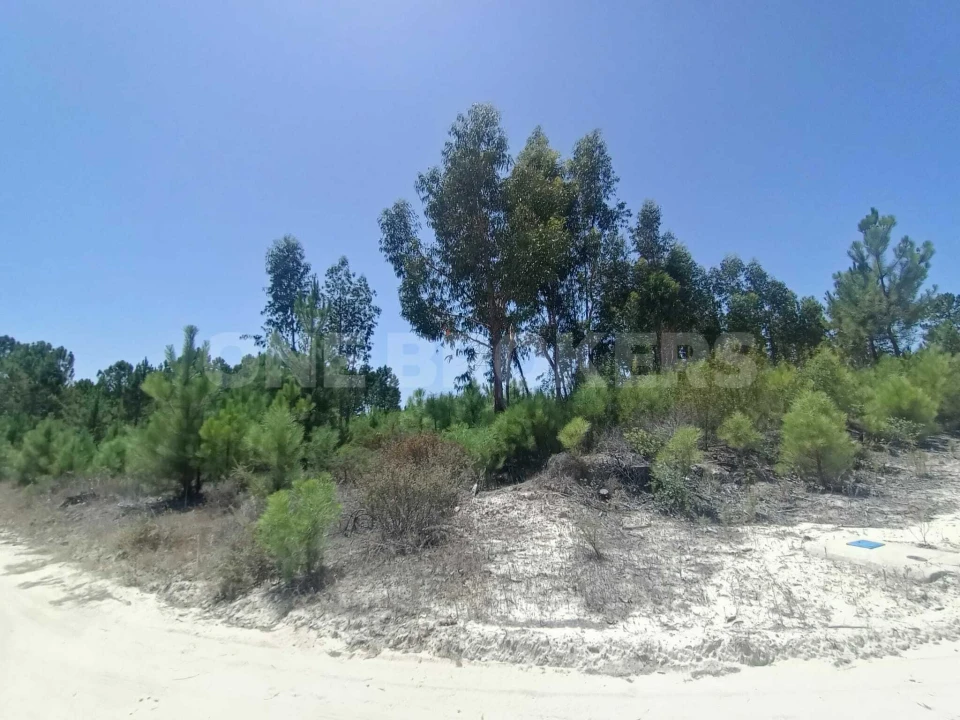 Terreno para Venda em Santana do Mato Foto 6