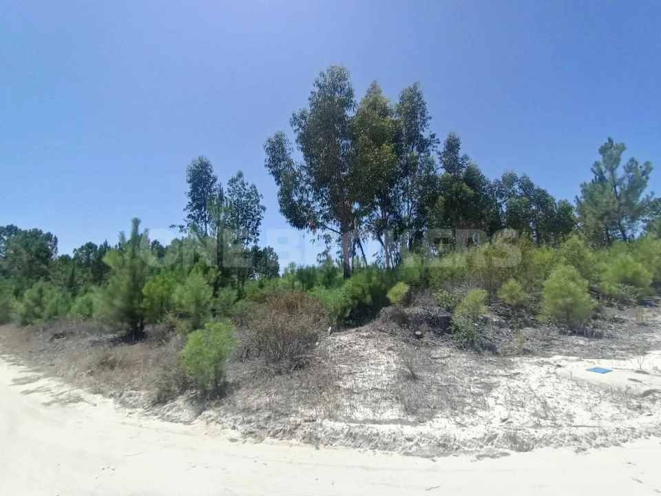 Terreno para Venda em Santana do Mato Foto 3