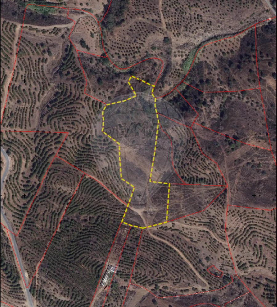 Terreno para Venda em Azinhal Foto 1