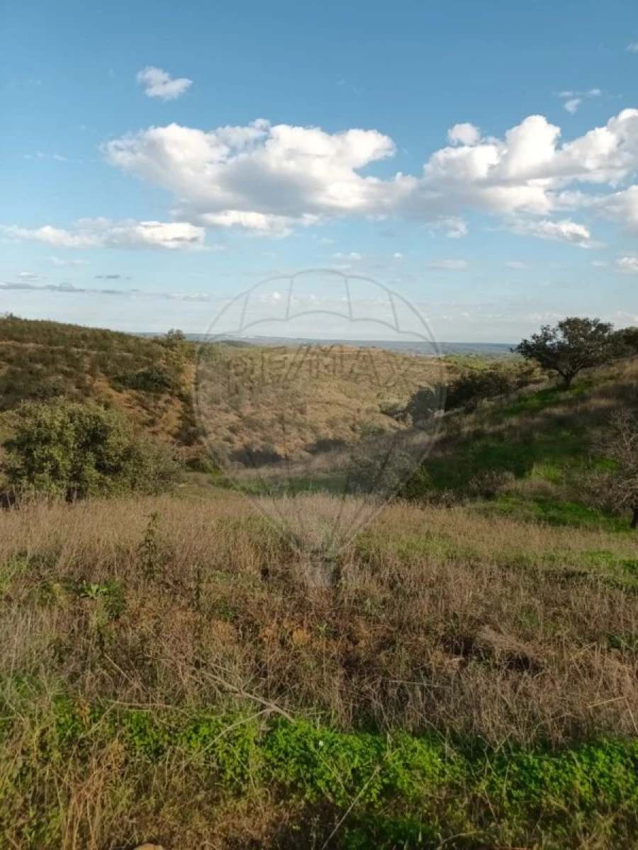 Terreno para Venda em Azinhal