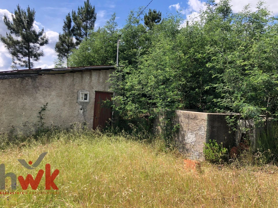 Terreno Agricola ou Rústico para Venda em Nogueira do Cravo Foto 11