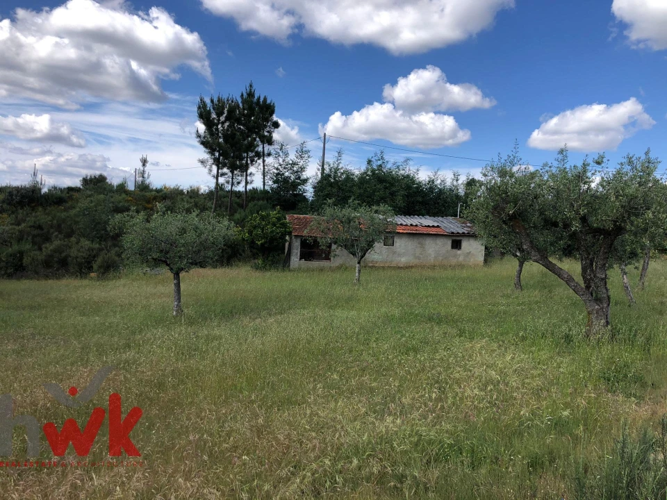 Terreno Agricola ou Rústico para Venda em Nogueira do Cravo Foto 12