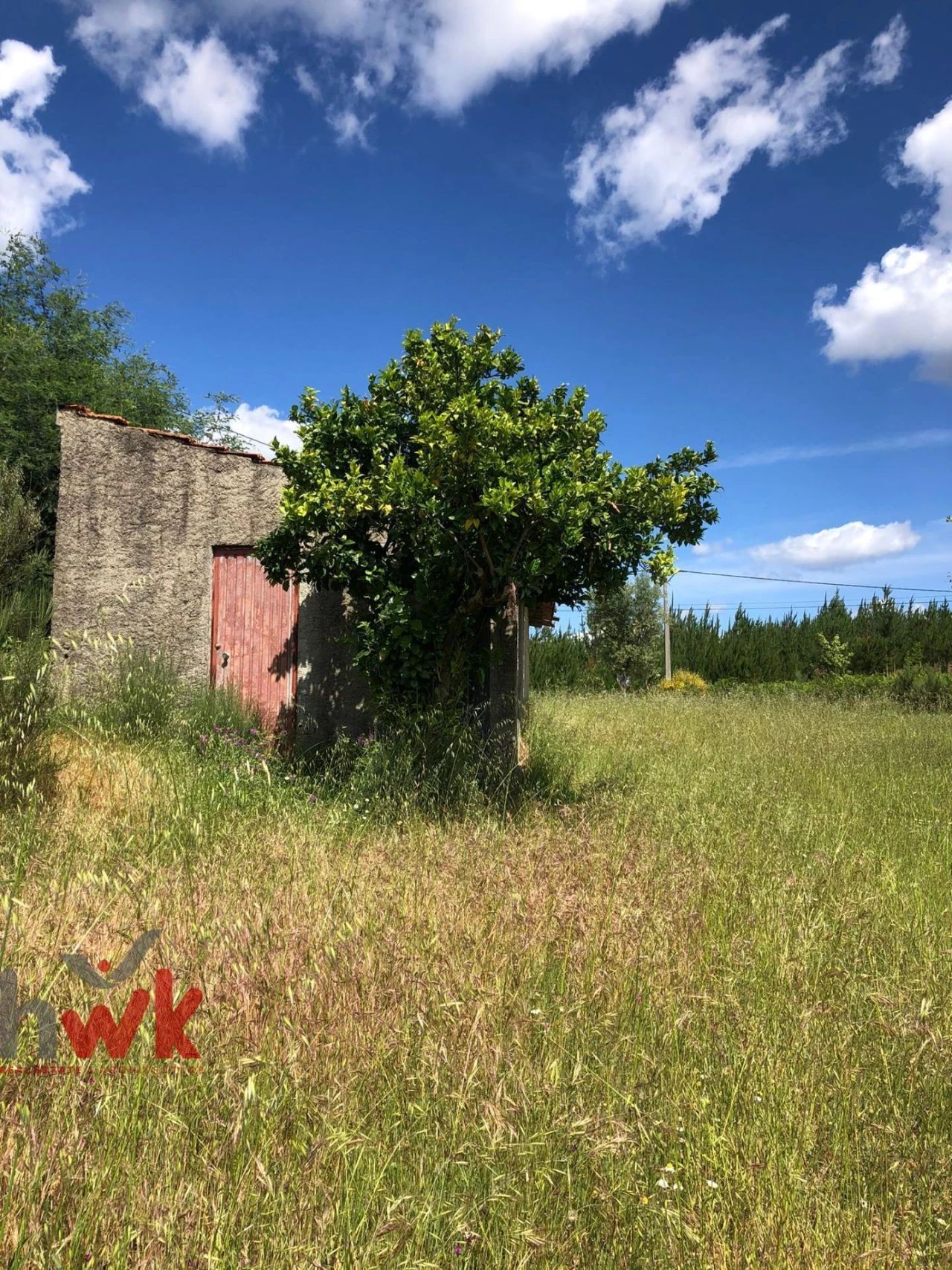 Terreno Agricola ou Rústico para Venda em Nogueira do Cravo Foto 8