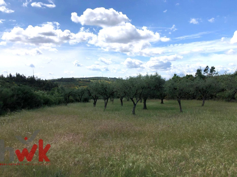 Terreno Agricola ou Rústico para Venda em Nogueira do Cravo Foto 9
