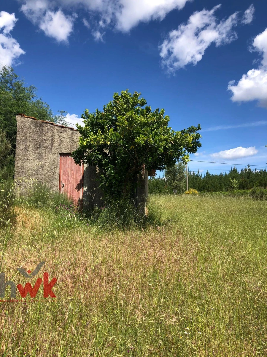 Terreno Agricola ou Rústico para Venda em Nogueira do Cravo Foto 8