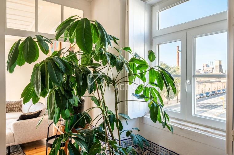 Apartamento T3 para Venda em Belém Foto 22