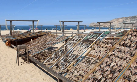 Apartamento T1 para Venda em Nazare
