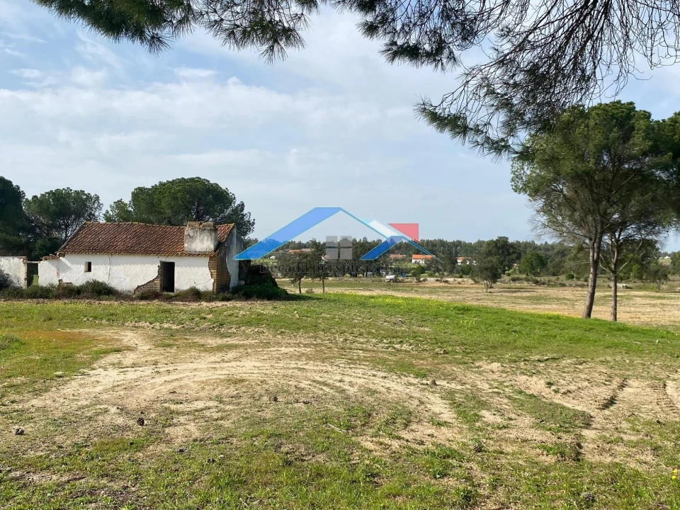 Quinta T2 para Venda em Branca Foto 8