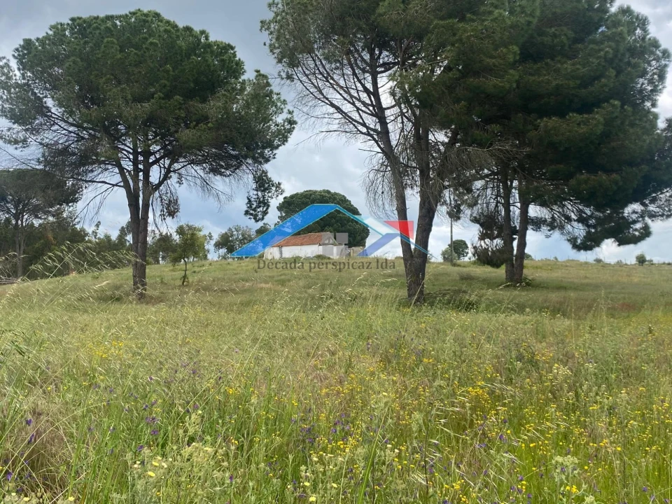 Quinta T2 para Venda em Branca Foto 4