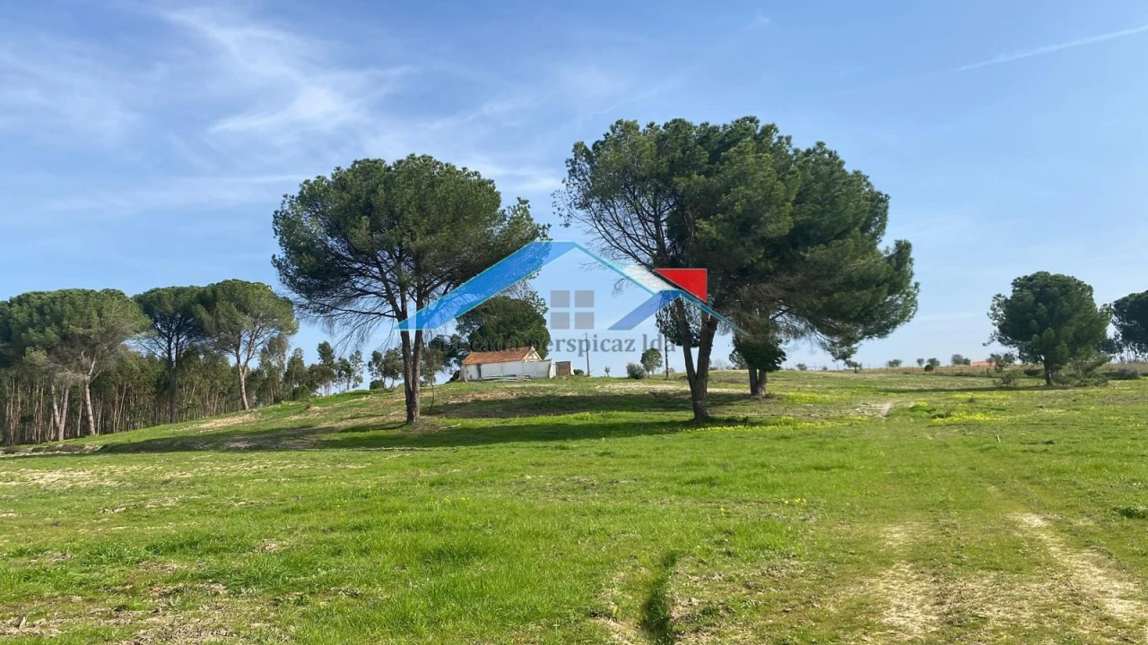 Quinta T2 para Venda em Branca Foto 1