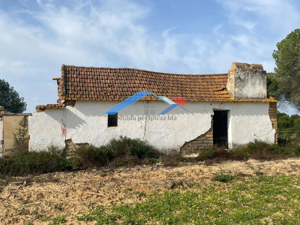 Quinta T2 para Venda em Branca Foto 5